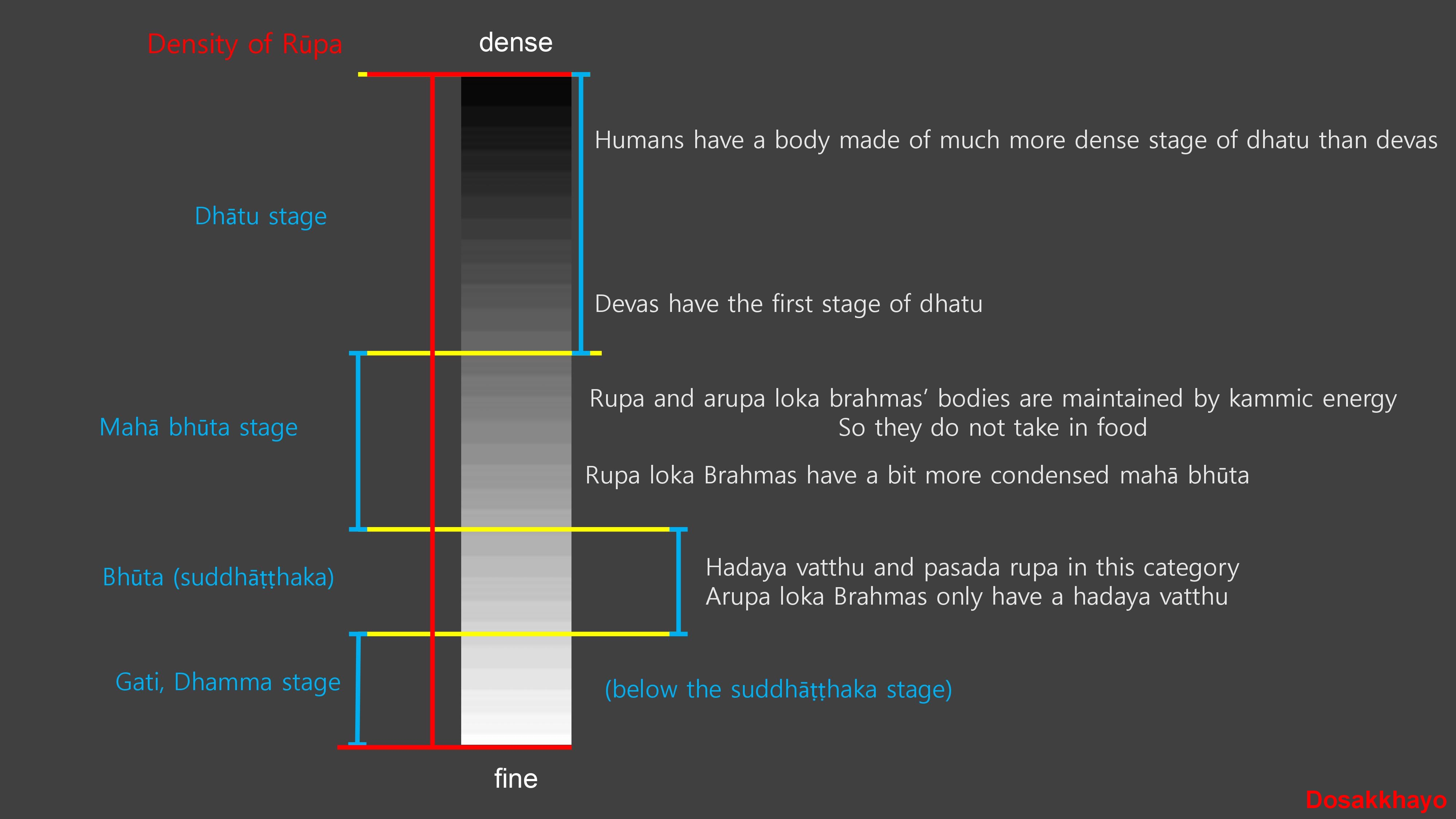 Density of Rupa Chart